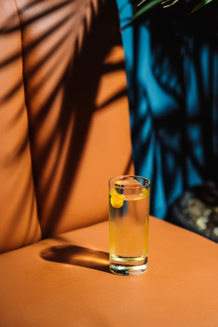 Highball cocktail on a terracotta banquette in palm-shadow light